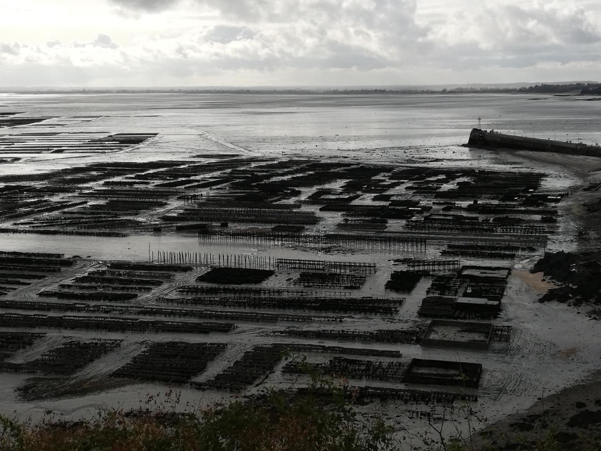Chambres D'Hotes Les Fleurettes En Baie Du Mont Saint Michel Eksteriør bilde
